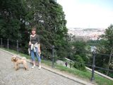 Prague-Petrin view