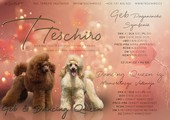 Puppies parents' T - Dancing Queen iz Mimoletnogo Videnija and Geb Paganiniho symfonie